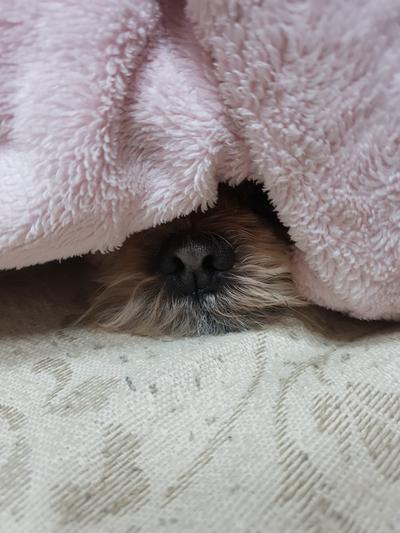 후기 사진 4