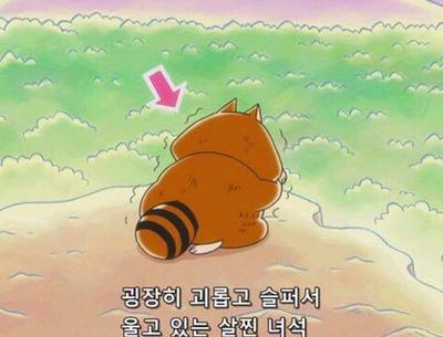 후기 사진 1