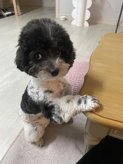 후기 사진 1