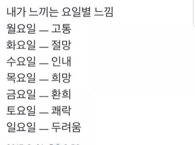 후기 사진 1