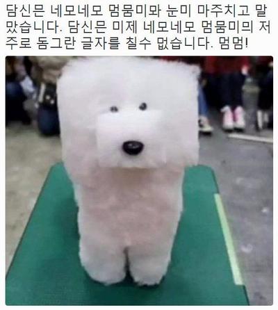 후기 사진 1