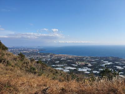 후기 사진 2