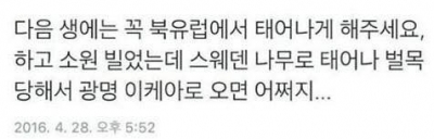 후기 사진 5