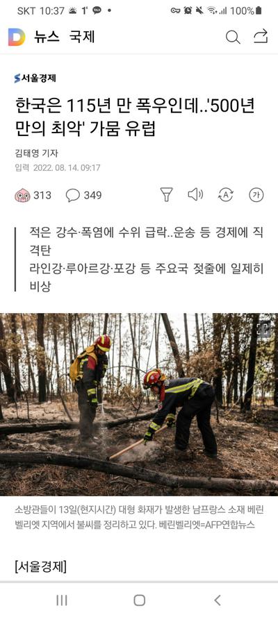 후기 사진 1