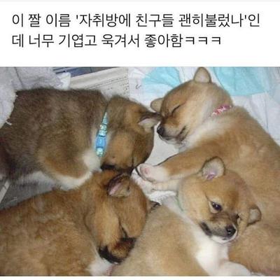 후기 사진 1