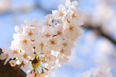 후기 사진 1