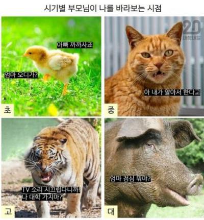 후기 사진 1