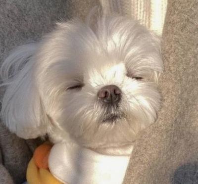 후기 사진 1