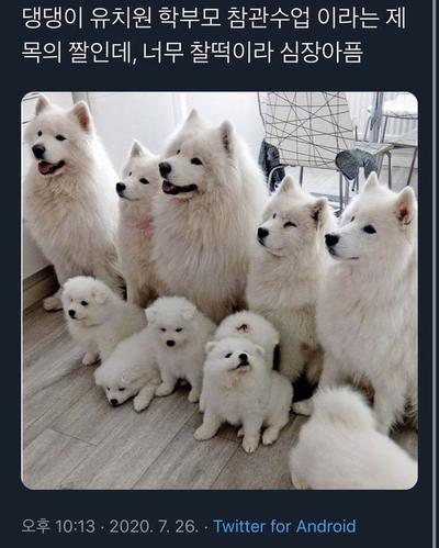 후기 사진 1