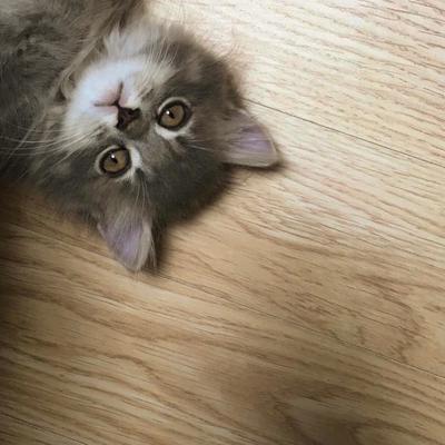 후기 사진 1