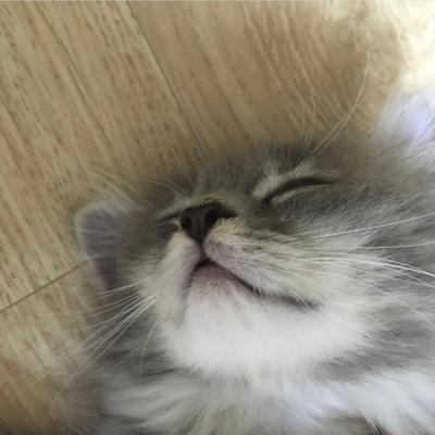 후기 사진 2