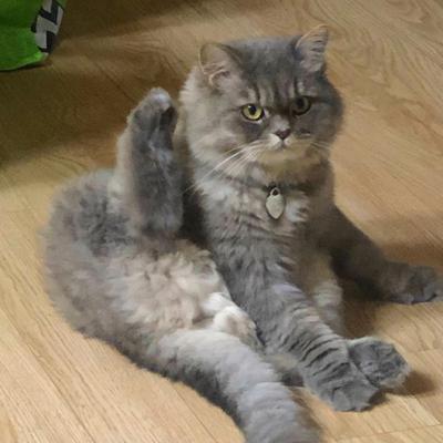 후기 사진 4