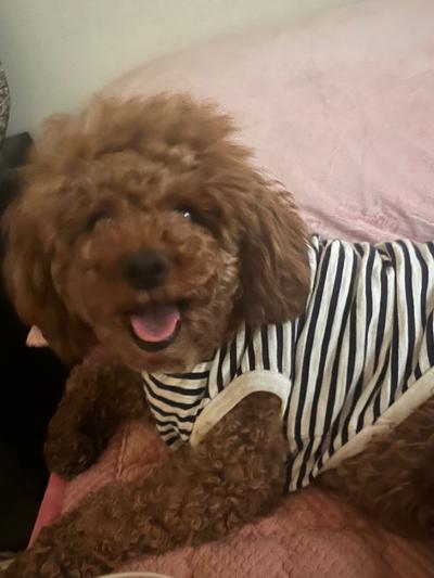 후기 사진 2
