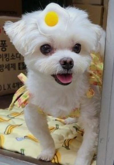 후기 사진 1