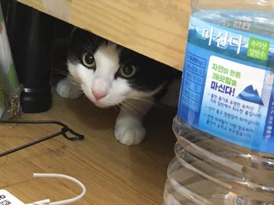 후기 사진 1