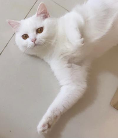 후기 사진 1