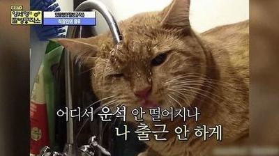후기 사진 1
