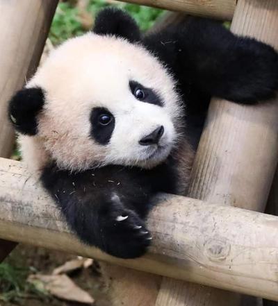 후기 사진 1