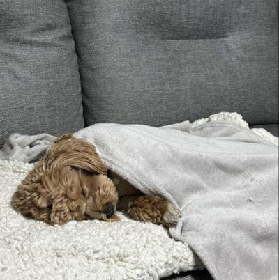 후기 사진 1