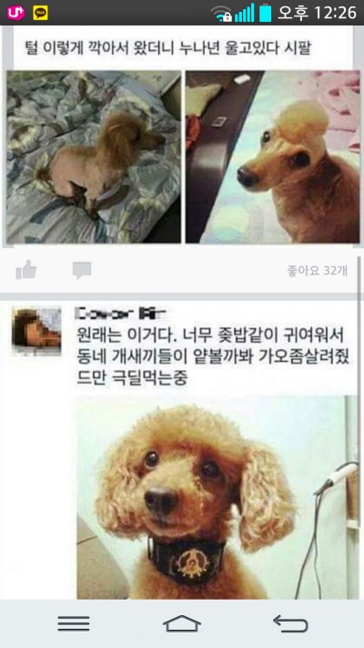 후기 사진 1