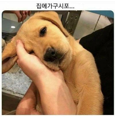 후기 사진 1