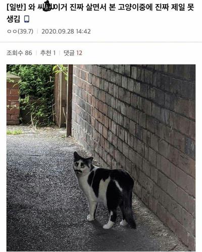 후기 사진 1