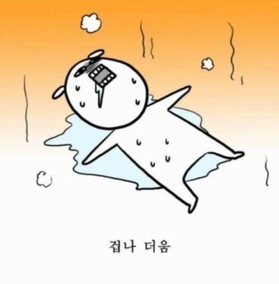 후기 사진 1