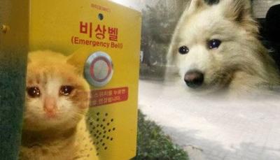 후기 사진 1