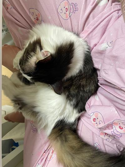 후기 사진 1