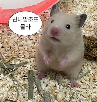 후기 사진 1