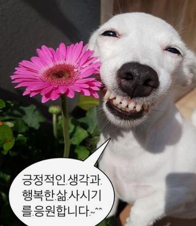 후기 사진 1