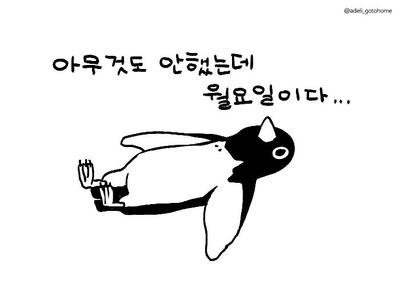 후기 사진 1