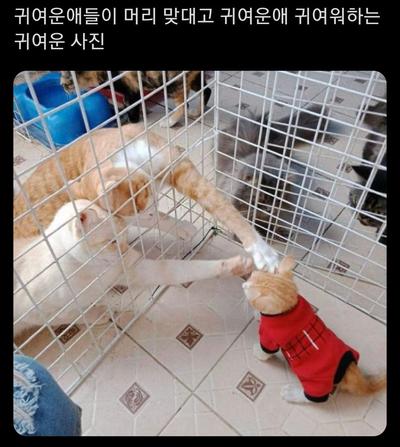 후기 사진 1