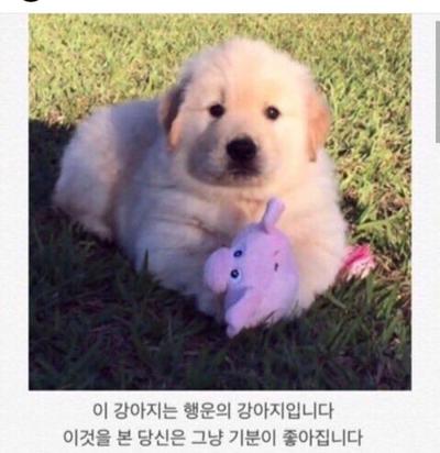 후기 사진 1