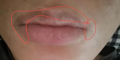 후기 사진 1