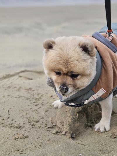 후기 사진 1
