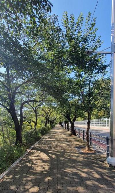 후기 사진 1