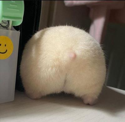 후기 사진 1