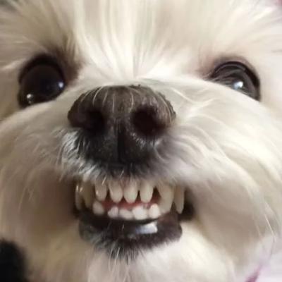후기 사진 1