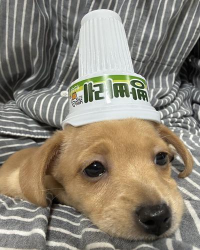후기 사진 1