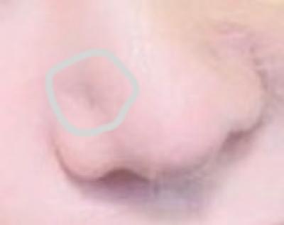 후기 사진 1