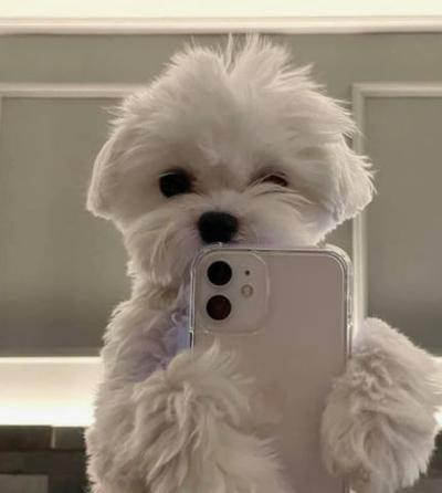 후기 사진 1