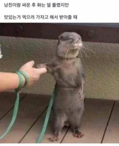 후기 사진 1