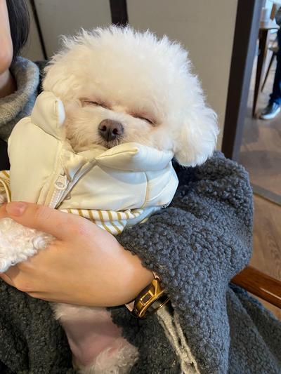 후기 사진 1