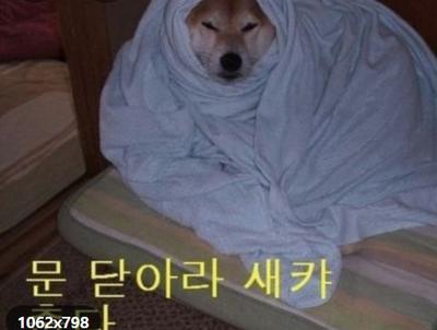 후기 사진 1