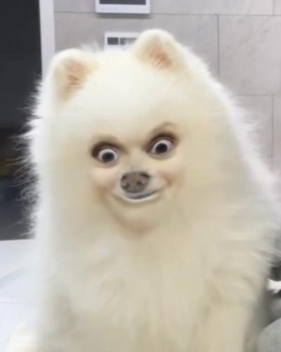 후기 사진 1