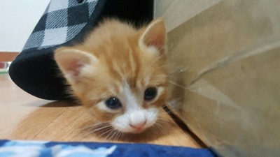 후기 사진 6