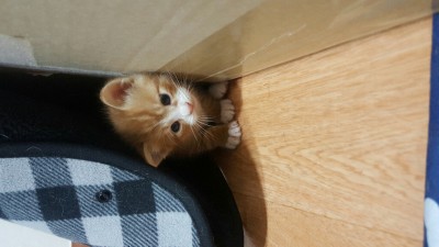 후기 사진 2