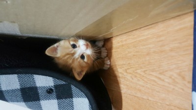 후기 사진 3