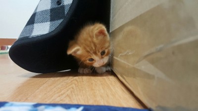 후기 사진 1
